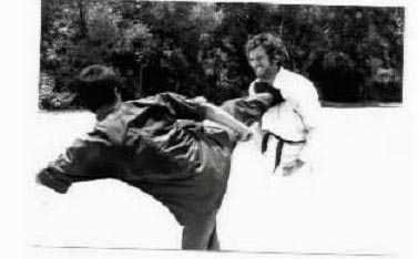 way of the dragon
