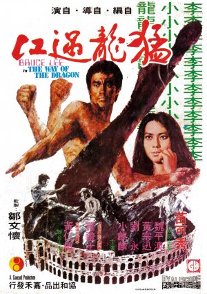 way of the dragon poster